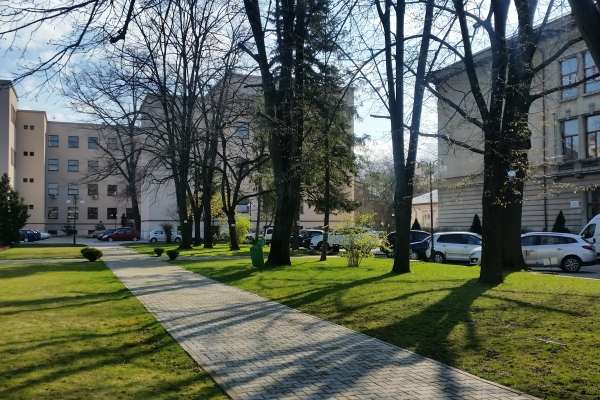 alee-in-fata-hortiCBCC09C2-0C9F-56CB-721D-554946EC7905.jpg